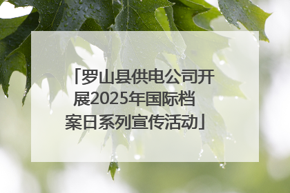 罗山县供电公司开展2025年国际档案日系列宣传活动